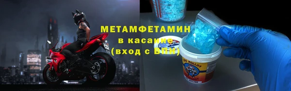 индика Елизово